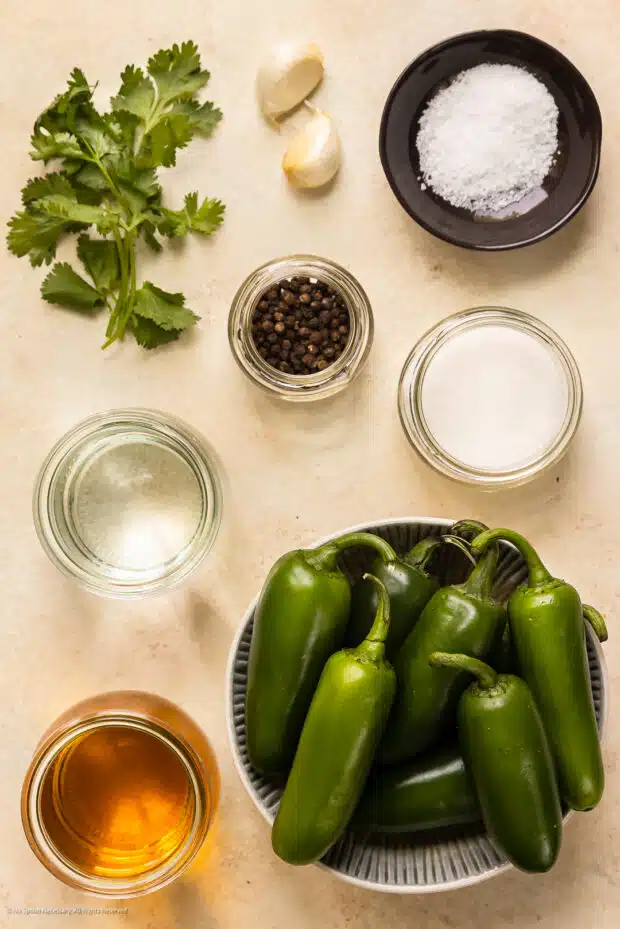 Overhead photo of all the ingredients in the recipe for pickled jalapenos.