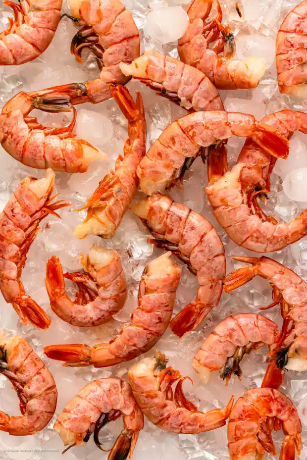Overhead photo of a dozen thawed shrimp on a tray of ice.