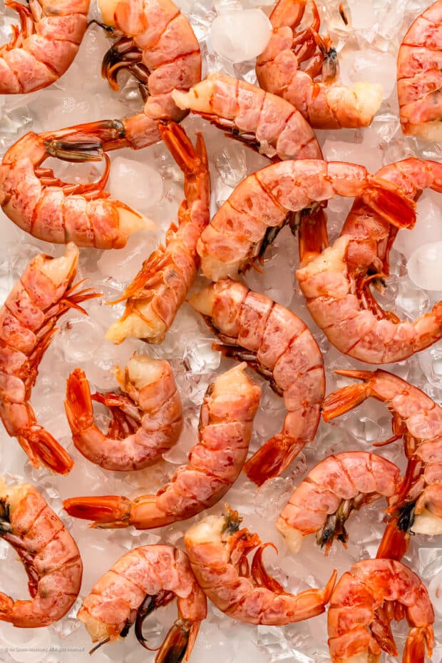 Overhead photo of a dozen thawed raw shrimp in the shell on a tray of ice.