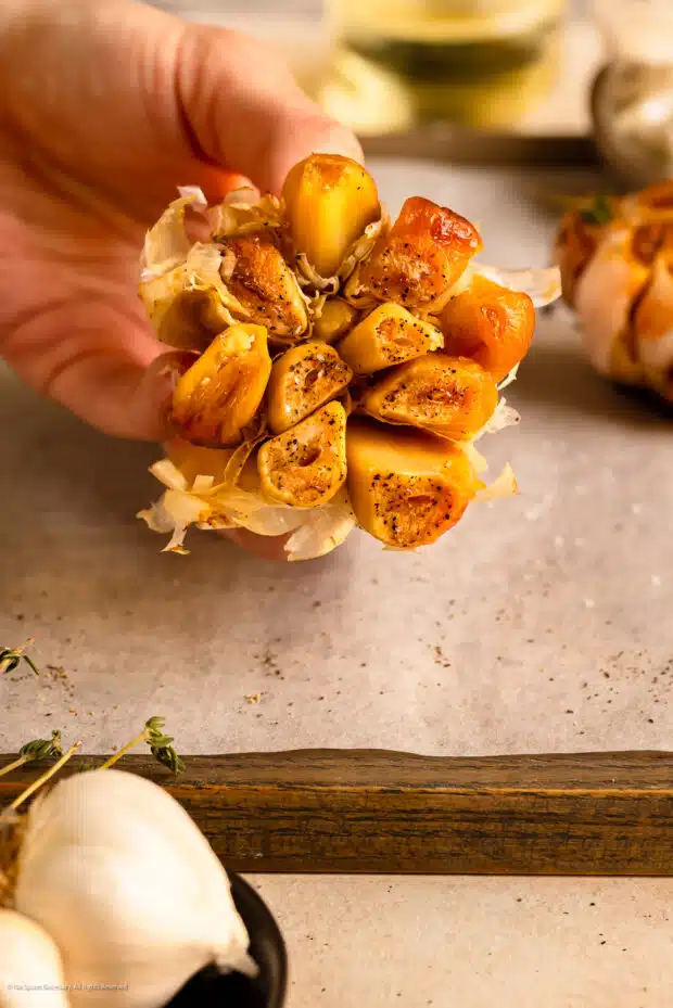 Action photo of cloves being squeezed out of a roasted garlic bulb.